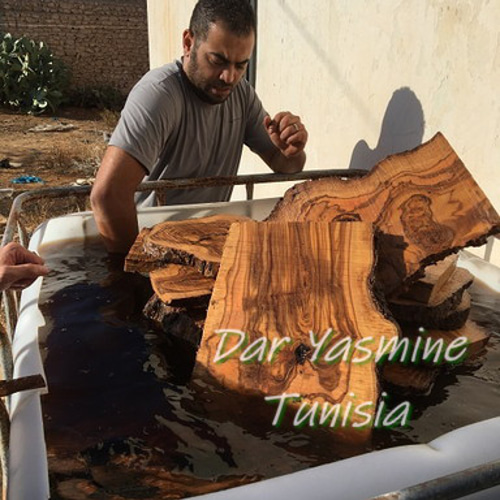 オリーブの木 超特大フリーカット 潔く愚直に生きる姿 約70cm めん棒