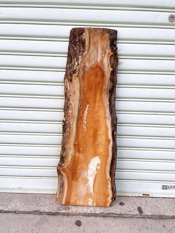 天然エンジュ 棚板 木材 天板 無垢材 一枚板 テレビ台 ベンチ