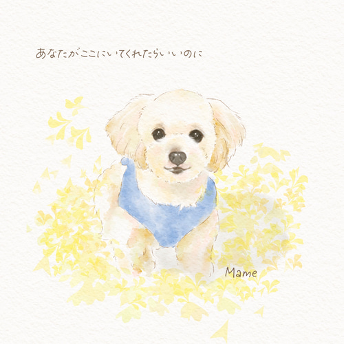 ペット似顔絵 うちの子イラスト 犬の絵 猫の絵 イラストオーダー