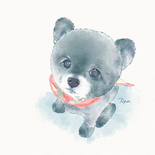 ペット似顔絵 うちの子イラスト 犬の絵 猫の絵 イラストオーダー