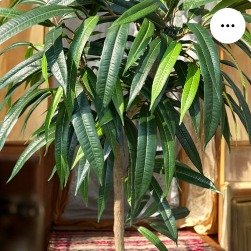 光触媒　人工観葉植物　ウォールグリーン　フェイクグリーン　アジアンショウナンゴム 光触媒 人工観葉植物 ウォールグリーン フェイクグリーン アジアン風