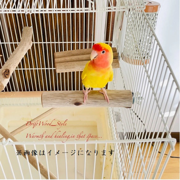 流木インテリア バードケージ用の天然流木の止まり木 Sサイズ ２個セット 鳥かご ケージ インコ とまり台 N9 4枚目の画像