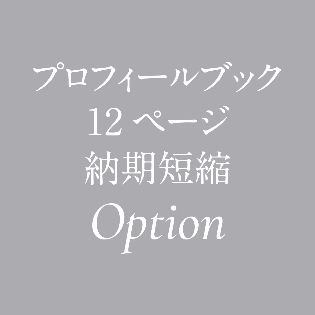プロフィールブック 12ページ 印刷期間短縮オプション