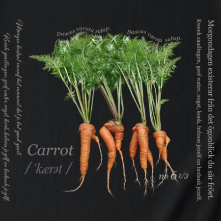 【Tシャツ・ワイドシルエット】優雅な菜園フレンチカントリースタイル