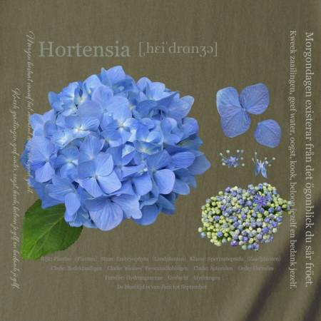 菜園フレンチカジュアル　〜ワイドシルエットで上品で優雅なカントリースタイル