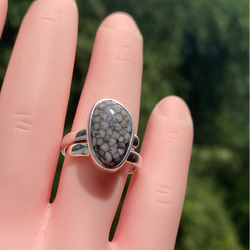 983d82dad19604e52e8d712c7919b9