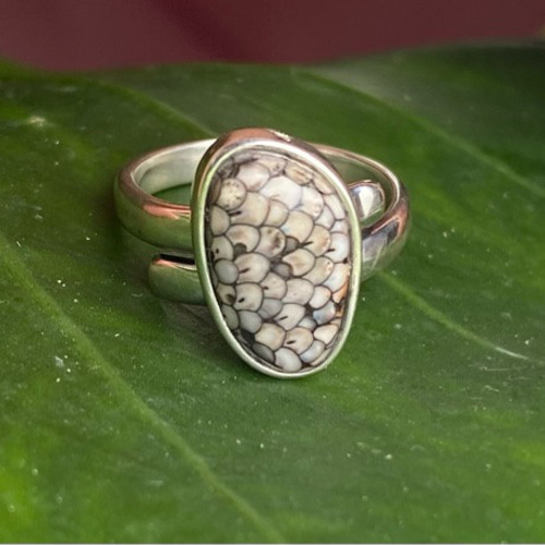 Stone Jipen】インドネシア・マドゥラ化石☆シルバー925リング(約