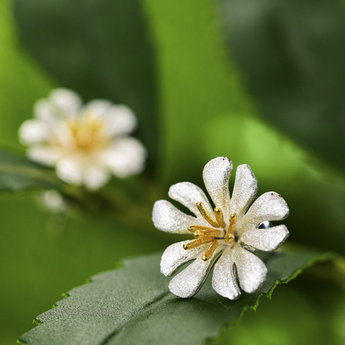 シレネアルメリアの花のピアス - 繊細で美しい花びらを忠実に再現する　P193 シレネアルメリアの花のピアス - 繊細で美しい花びらを忠実に