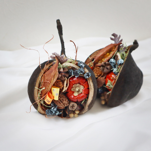 '25 Halloween arrangement ★秋色木の実×ブッダナッツ 1枚目の画像