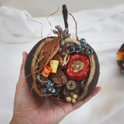 '25 Halloween arrangement ★秋色木の実×ブッダナッツ 2枚目の画像