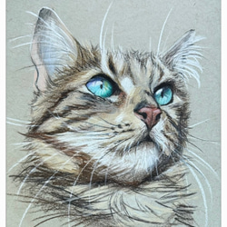 イラストオーダー受付 動物 色鉛筆 色鉛筆 ペット 似顔絵｜オーダーメイドイラスト｜犬 猫 鳥 小動物