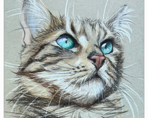 オーダーの品　自作絵画　猫とうさぎの肖像画 0_b6cc6f77c62f5333cd764f91336e