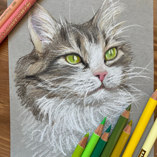 色鉛筆画✭愛猫愛犬✭ペット似顔絵　オーダー受付　ページです♪1 愛犬のオレオ先生描きました(^-^)🐶 かわいくかけてよかった