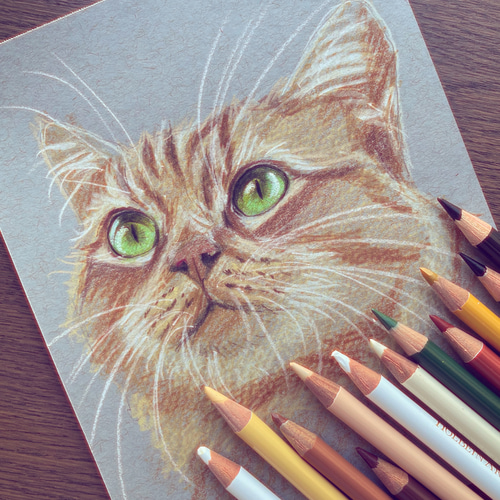 色鉛筆 ペット 似顔絵｜オーダーメイドイラスト｜犬 猫 鳥