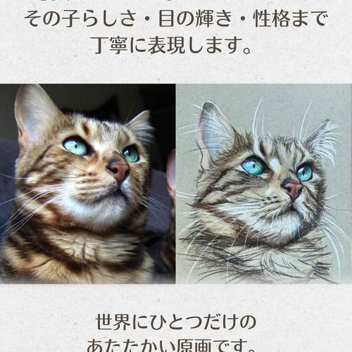 色鉛筆 ペット 似顔絵｜オーダーメイドイラスト犬 猫 鳥 小動物｜一点