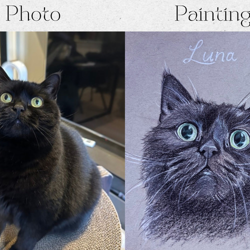 色鉛筆 ペット 似顔絵｜オーダーメイドイラスト犬 猫 鳥 小動物｜一点