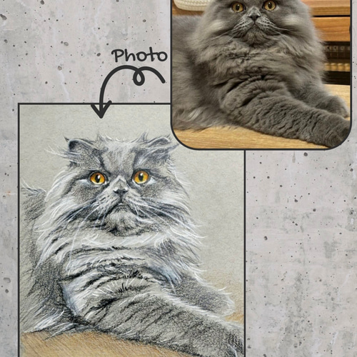 色鉛筆 ペット 似顔絵｜オーダーメイドイラスト｜犬 猫 鳥 小動物