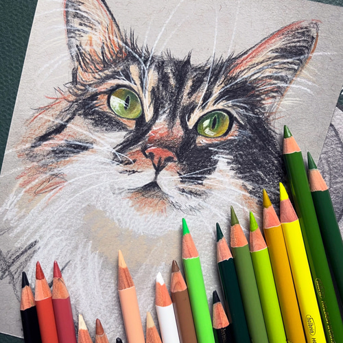 色鉛筆 ペット 似顔絵｜オーダーメイド 手描き イラスト｜犬 猫