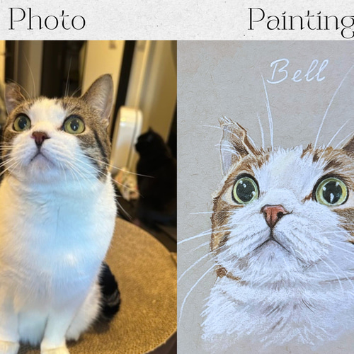 色鉛筆 ペット 似顔絵｜オーダーメイドイラスト犬 猫 鳥 小動物｜一点