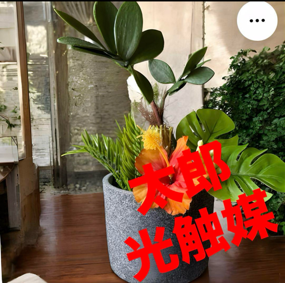 光触媒加工ウォールグリーン　フェイクグリーン壁掛け☆素敵なハイビスカス☆ 光触媒 人工観葉植物 ウォールグリーン フェイクグリーン