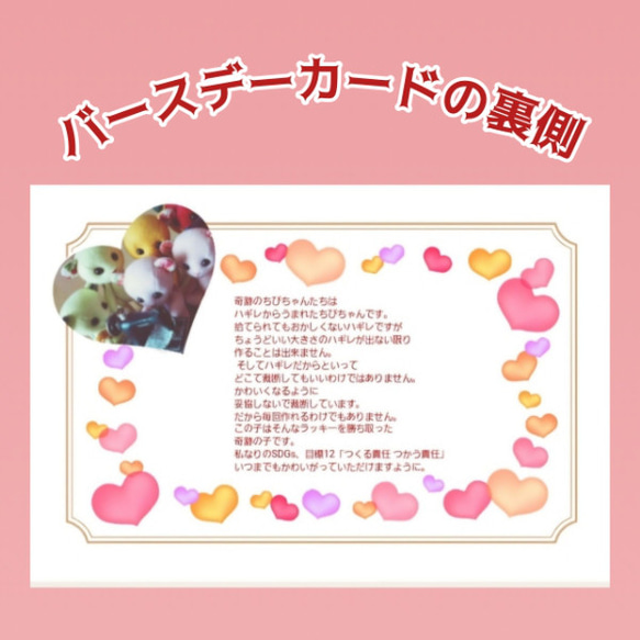 ハギレ生まれのぬいぐるみ〜ぬい撮り初心者さんの仲間探し〜 奇跡のうさちゃん第56号 19枚目の画像