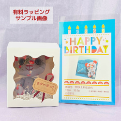 ハギレ生まれのぬいぐるみ〜ぬい撮り初心者さんの仲間探し〜 奇跡のうさちゃん第56号 18枚目の画像