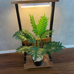 ディスプレイ台　観葉植物　飾り台 8枚目の画像