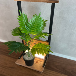 ディスプレイ台　観葉植物　飾り台 1枚目の画像