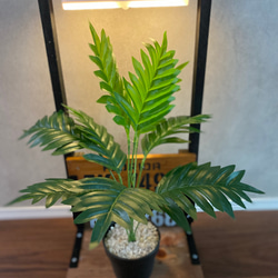 ディスプレイ台　観葉植物　飾り台 2枚目の画像