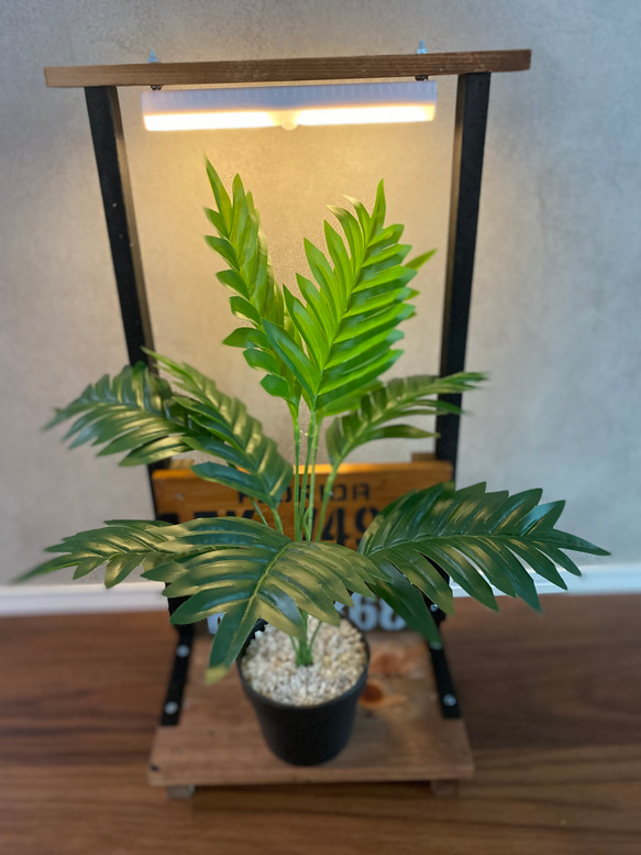 ディスプレイ台　観葉植物　飾り台 2枚目の画像