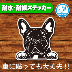 オリジナルステッカー(オードリー・ヘップバーン) イラスト GEBC craft