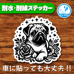 Supreme オードリーヘプバーン　新品　円形ステッカー 激レア Amazon.co.jp: シール オードリー・ヘップバーン Audrey Hepburn