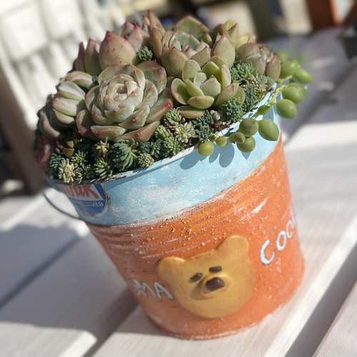 リメイク缶 リメ缶 くまさん 4色展開 植木鉢/プランター/鉢カバー