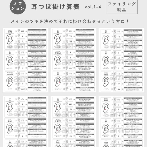 耳つぼジュエリー | 開業・メニュー化応援パック イヤリング