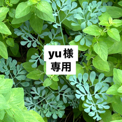 守護の石】神居古潭石『飛龍』☆ブラック☆ペンダントトップ 精