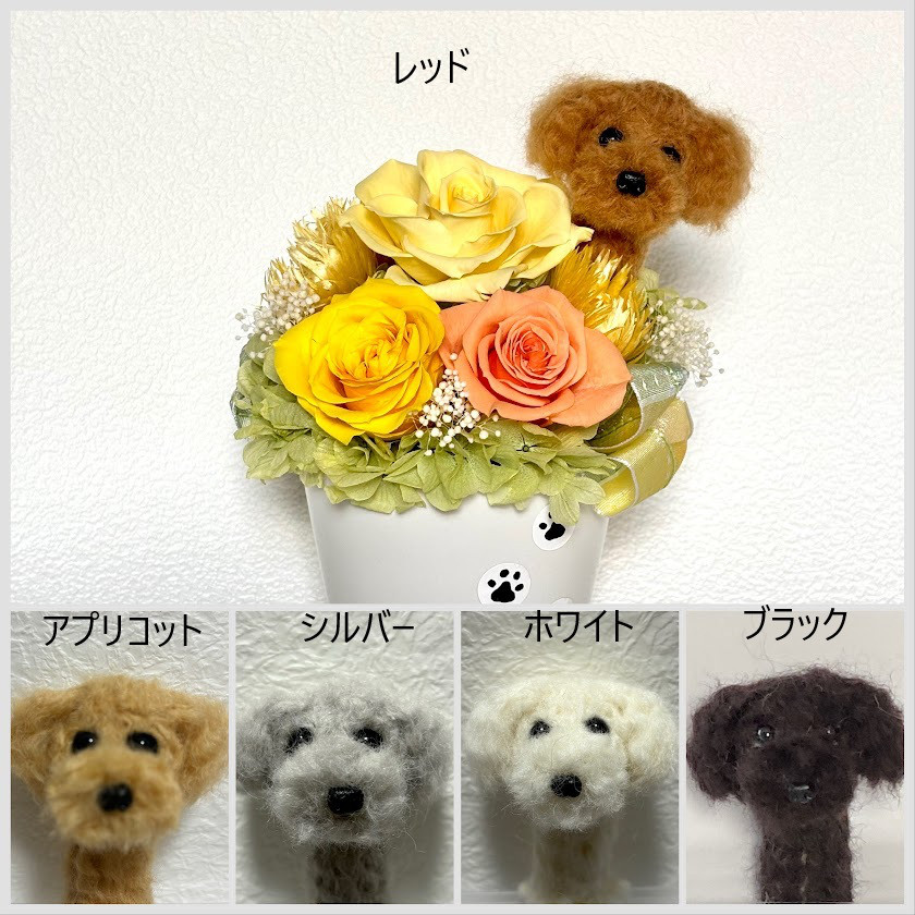 ちょこんと顔出す　トイプードル（右側）＆　プリザーブドフラワー（黄色系）　/　羊毛フェルト　犬　花　米寿祝い