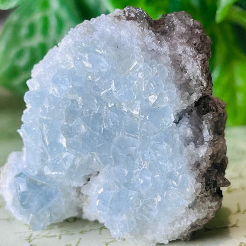 天使の石໒꒱✨　セレスタイト　天青石　クラスター　原石　ラフストーン 天使の石໒꒱✨ セレスタイト 天青石 クラスター 原石 ラフストーン