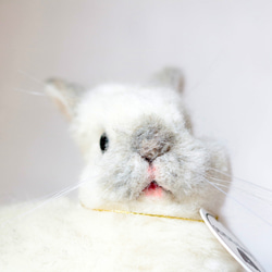 sold)ロップイヤーのうさぎさん ブロークンオレンジ 羊毛フェルト 羊毛