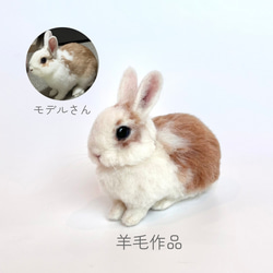 羊毛フェルト オーダー 「リアルで可愛いウサギちゃん」ネザーランド