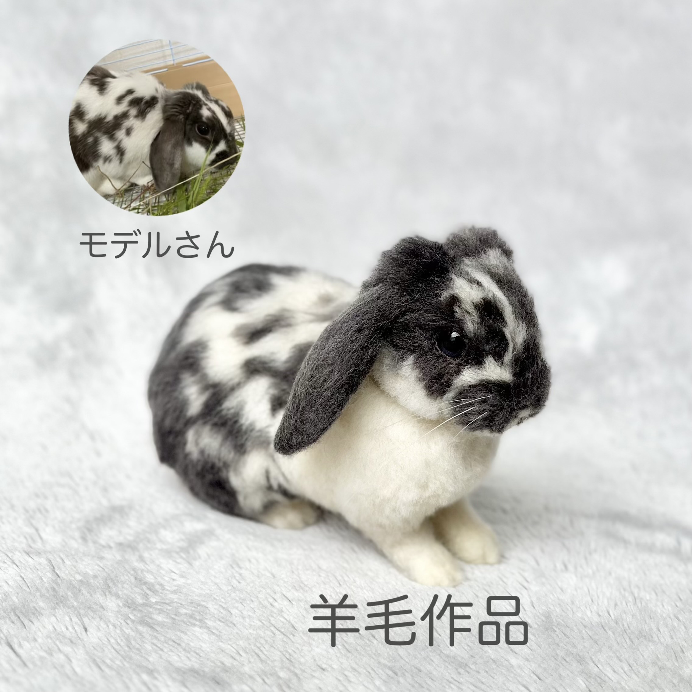 【オーダー】Mサイズ 羊毛フェルト うさぎ ホーランドロップ ネザーランド ペット リアル ぬいぐるみ メモリアル ペッ