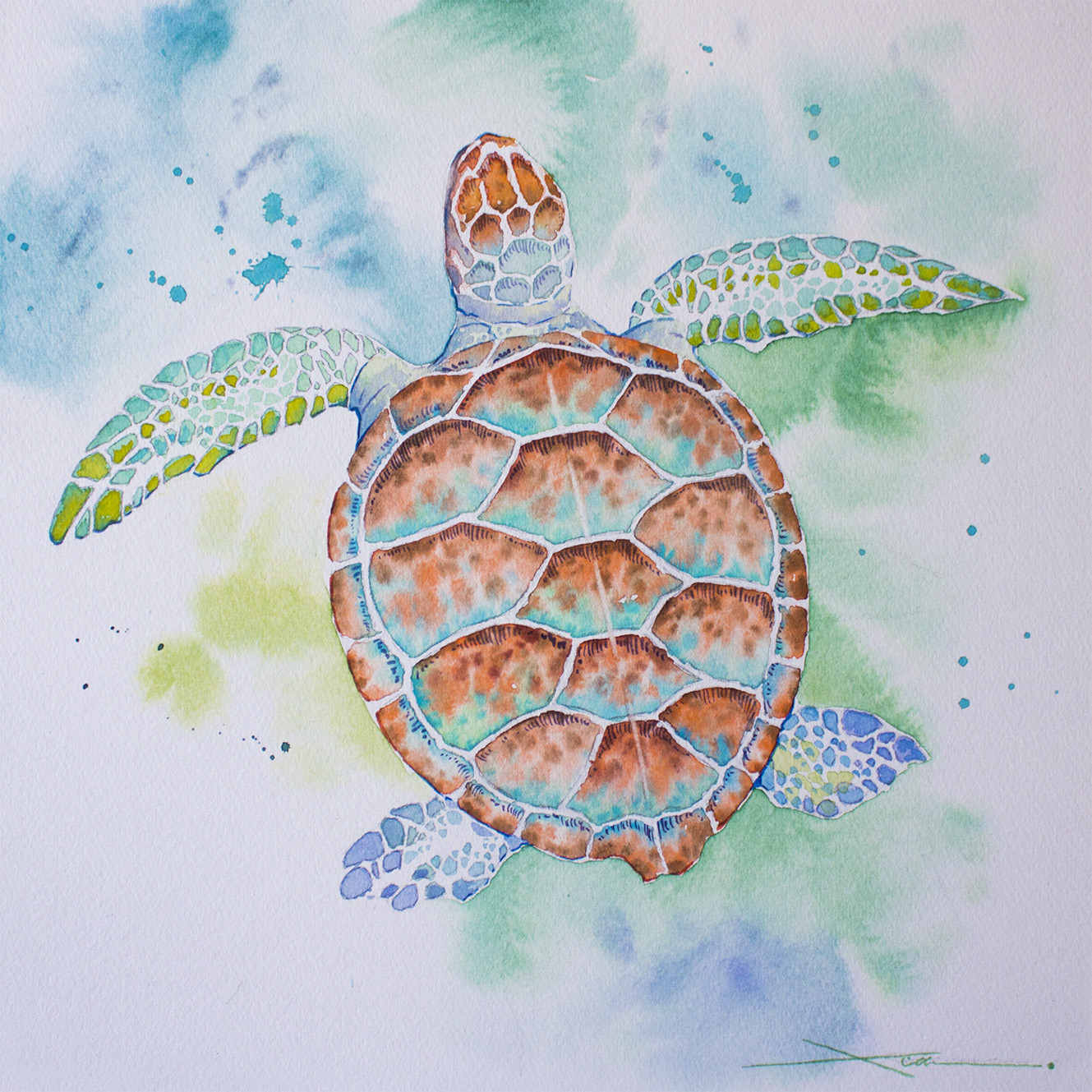 ウミガメ_水彩原画_イラスト