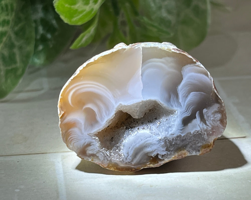 d61451b65da8d28a606741941e4644