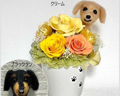 ちょこんと顔出す ダックスフンド（右側）＆ プリザーブドフラワー
