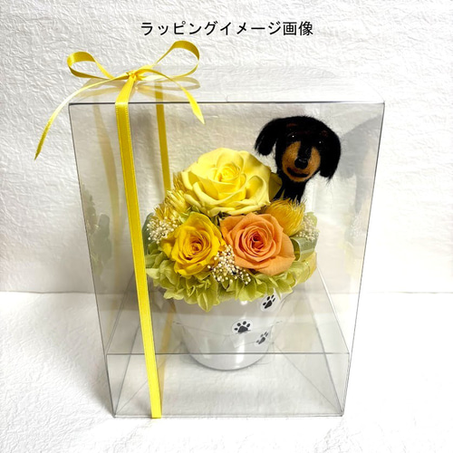 ちょこんと顔出す ダックスフンド（右側）＆ プリザーブドフラワー