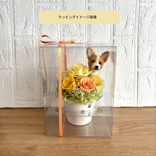 ちょこんと顔出す コーギー（右側）＆ プリザーブドフラワー
