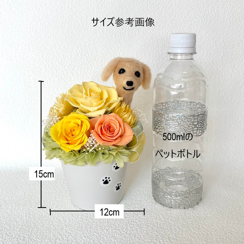 ちょこんと顔出す コーギー（右側）＆ プリザーブドフラワー