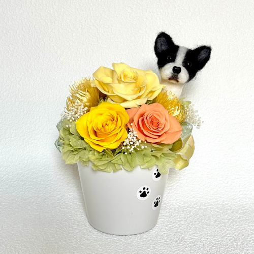 ちょこんと顔出す フレンチブルドッグ（右側）＆プリザーブドフラワー