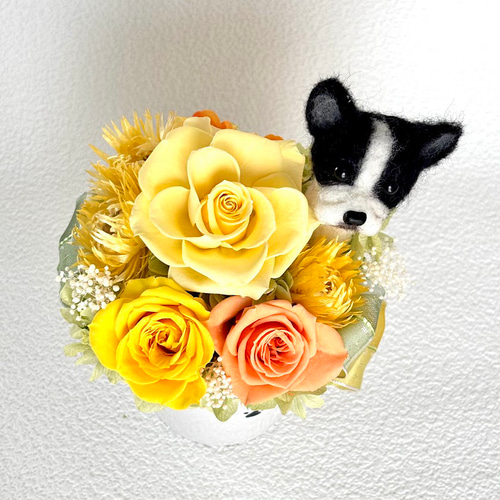 ちょこんと顔出す フレンチブルドッグ（右側）＆プリザーブドフラワー