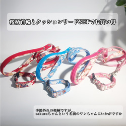 桜柄首輪とクッションリードSETでお買い得[小型犬用] リード・首輪