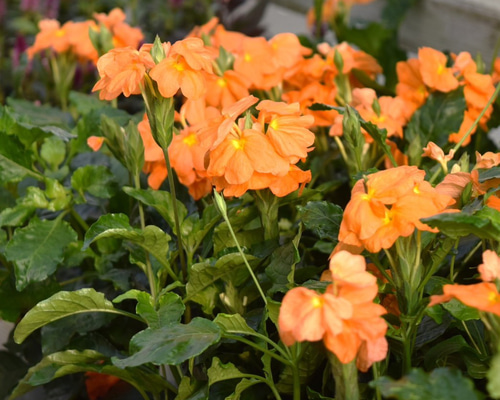 512e90d964aa46feccc23c6b045d2b